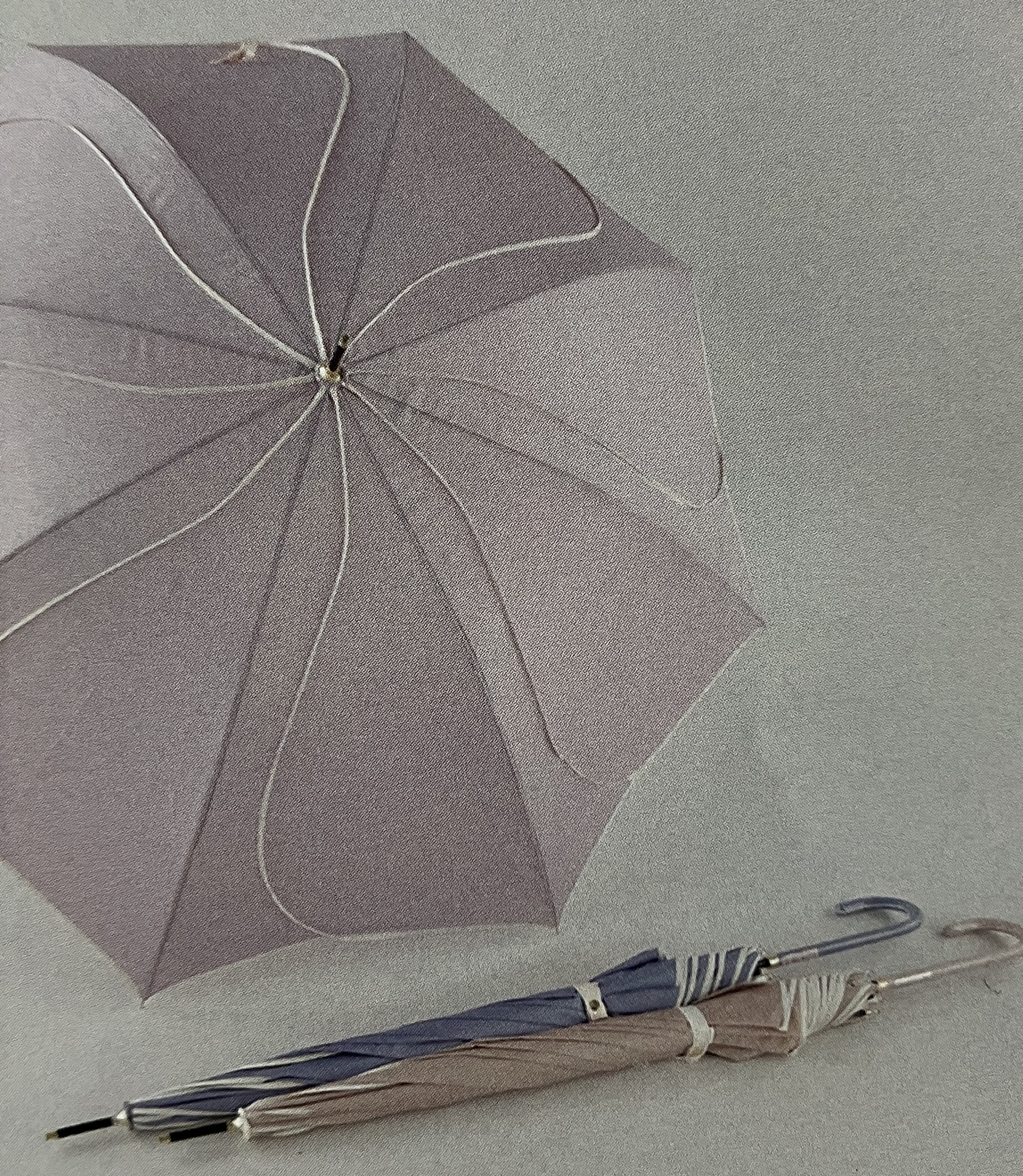 【流行】雨の日を楽しむ花びら傘60JP24本SET！