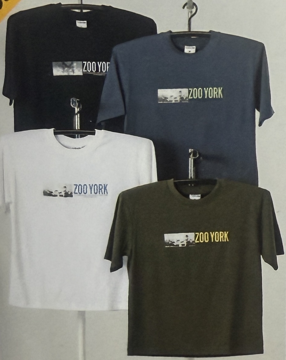 ZOO YORK　ＴＣ天竺プリント半袖Ｔシャツ10枚ＳＥＴ！