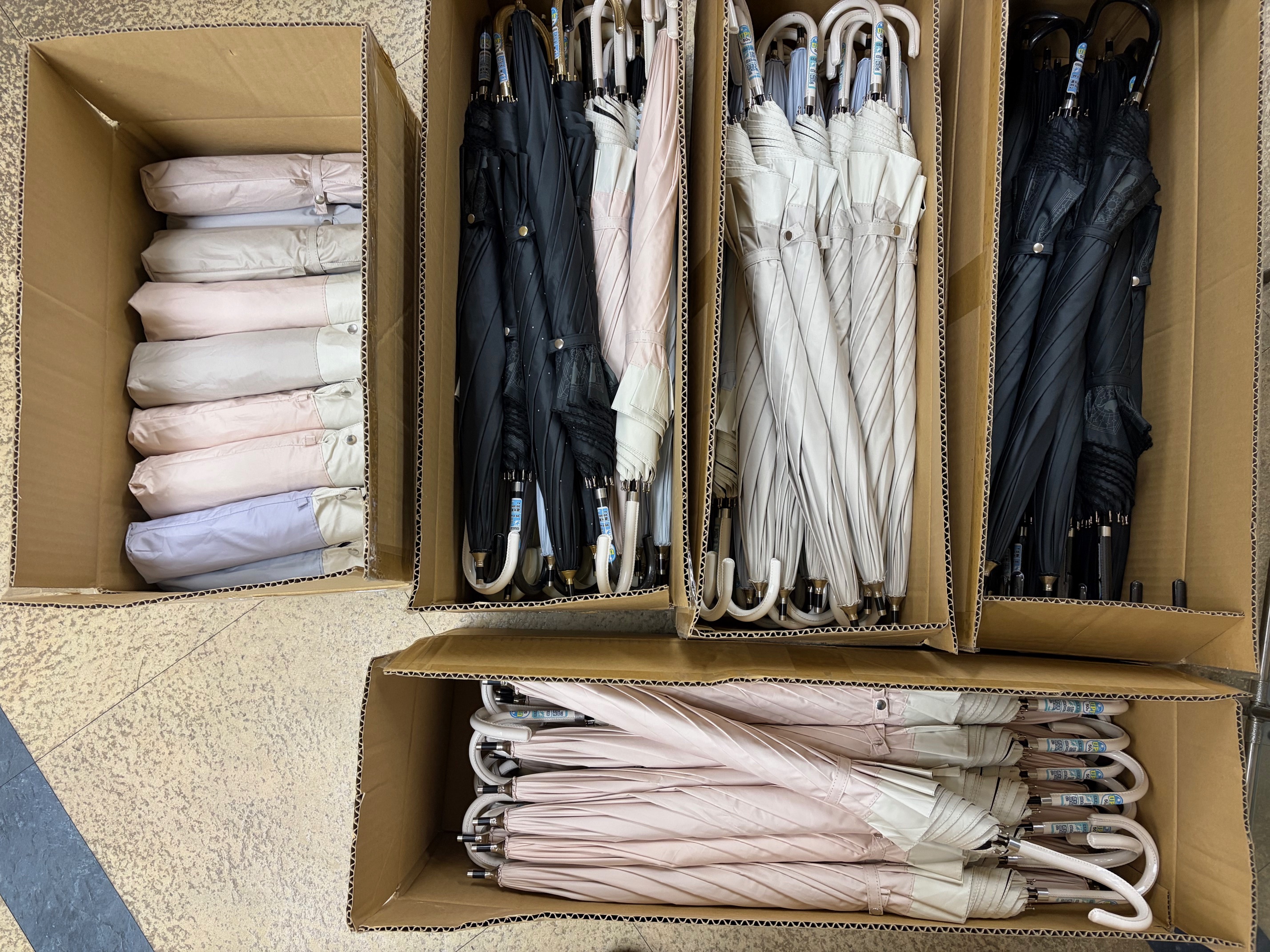 大特価！　キッズ　傘こみこみ　50本セット！