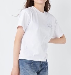 【OP】オーシャンパシフィック　レディース　バックプリント半袖Tシャツ　ホワイト　11枚入り 522590