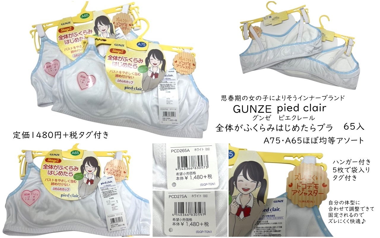 THE処分！【グンゼ】全体がふくらみはじめたらブラ　（ピエクレール）　65個入　