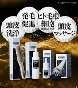 HAIRMO（4点セット、箱付き）　24個　4560484005077