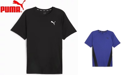 【PUMA】プーマ　メンズ  TRAIN ALL DAY SS Tシャツ　全2色アソート　6枚入り 525517　セットNo.2502MS-TR16