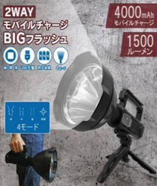 モバイルチャージBIGフラッシュ　12個　 DLSD3461500　4562350980815