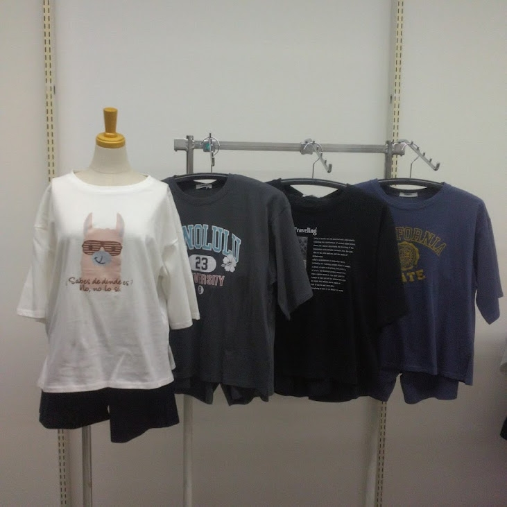 婦人　天竺半袖TショーパンセットアップAヤンミス　24個　1003110691