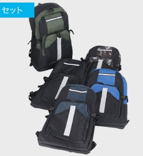 特大Ｄパック　12個入り 496213