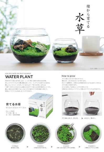 育てる水草栽培セット　48個入り