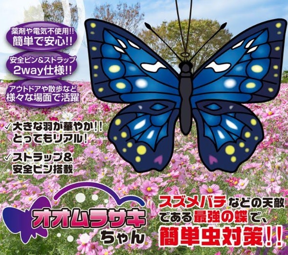 オオムラサキちゃん　　48個入り 90124