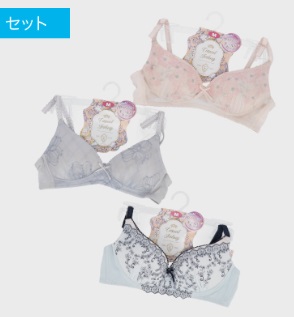 婦人　リラクシングノンワイヤーブラジャー　20枚入り 496706