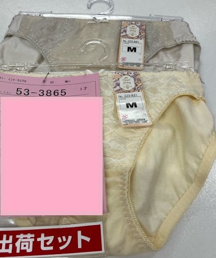婦人　ハンガー付きリラクシングショーツ　40枚入り 53-3865