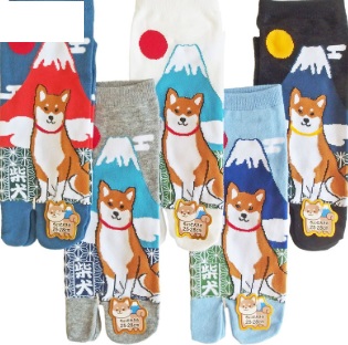 紳士　和柄スニーカー丈 足袋ソックス　「柴犬と富士 」10足入り 43668503