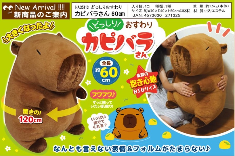 どっしりおすわりカピバラさん　60㎝　8個入り HAC5113