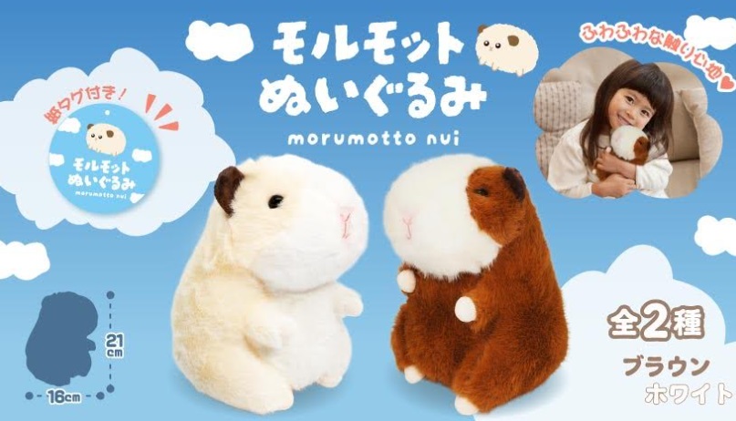 モルモットぬいぐるみ　全2種アソート　72個入り 4990