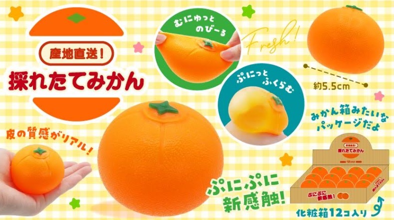 産地直送！採れたてみかん　576個入り 5091