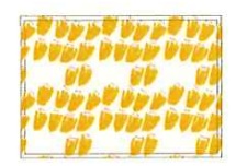 ボルク　チューリップ　ひざ掛け　40枚入 0545033700