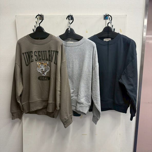 〚BRI〛長袖裏毛PO　12枚入り  1003832091