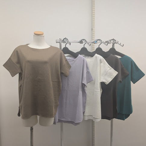 婦人　C100 ボートネックTシャツ　16枚入り 1003884931