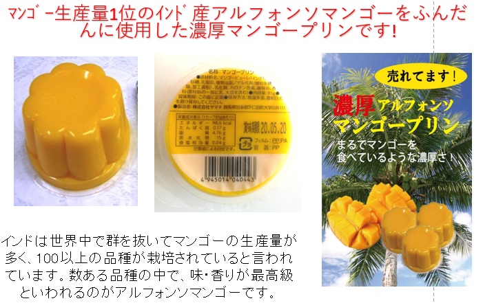 マンゴープリン　1440個入 4945014040443