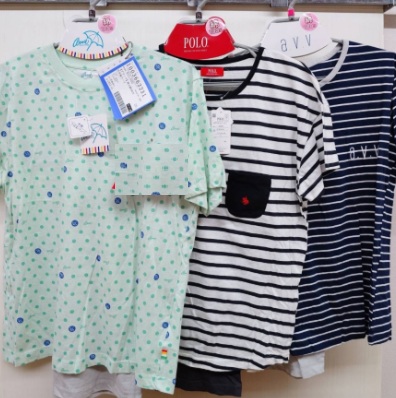 【綿100】【ブランド】婦人　100天竺半袖スーツ　20枚入 1003663231