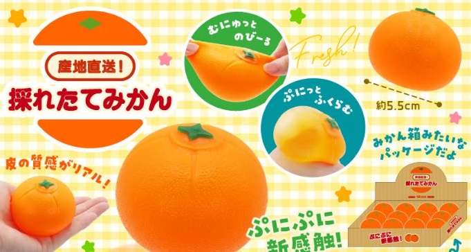 産地直送！採れたてみかん　576個入 5091