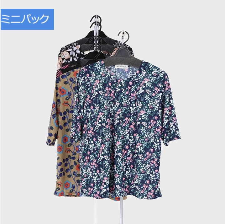 婦人　5分袖楊柳プリントタックTシャツ　10枚入り 741072