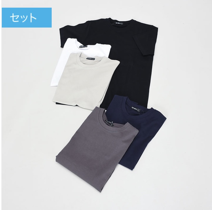 紳士　ヘビーウェイト　半袖無地Tシャツ　2種類・2サイズセット