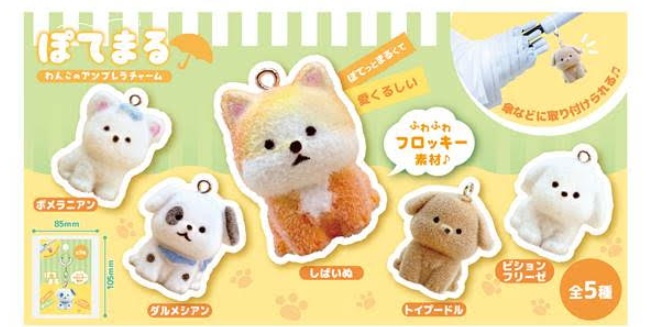 ぽてまる わんこのアンブレラチャーム　全5種アソート　400個入り 4573512255856
