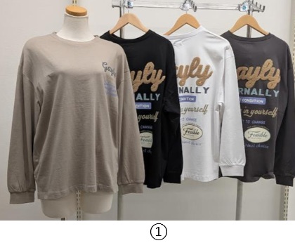 婦人　大寸　天竺長袖Tシャツ/ロゴpt+ワッペン　①/②　16～22枚入り 1003614475・1003614466
