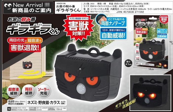お庭の睨み番　ギラギラくん　48個入 HAC5156