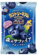 不二家 　カントリーマアムミニ　森のサファイアブルーベリ―　480個入り 4902555279176