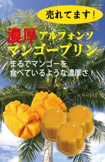 (株)ヤマキ　マンゴープリン　144個入り 4945014040443