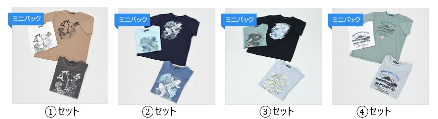 半袖和柄　①～④　10枚入り