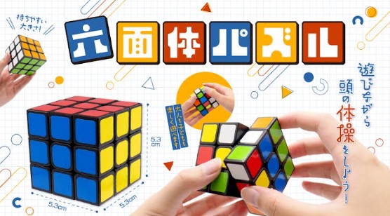 六面体パズル　720個入