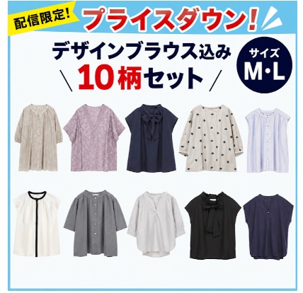 ブラウス込み　20枚入り