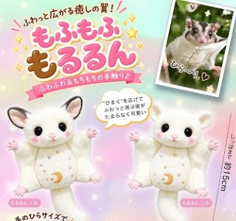もふもふもるるんマスコット　240個入り