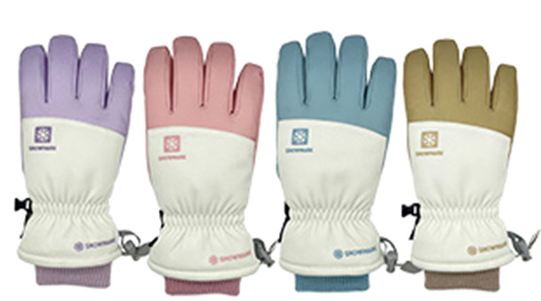 LADIE’Sスキー手袋（防水インナー）　20双入り