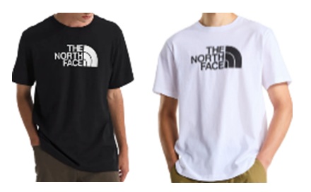 【THE NORTH FACE】ザ・ノースフェイス　M EVOLUTION HALF DOME SHORT SLEEVE TEE　半袖Ｔシャツ　1枚から購入可能！