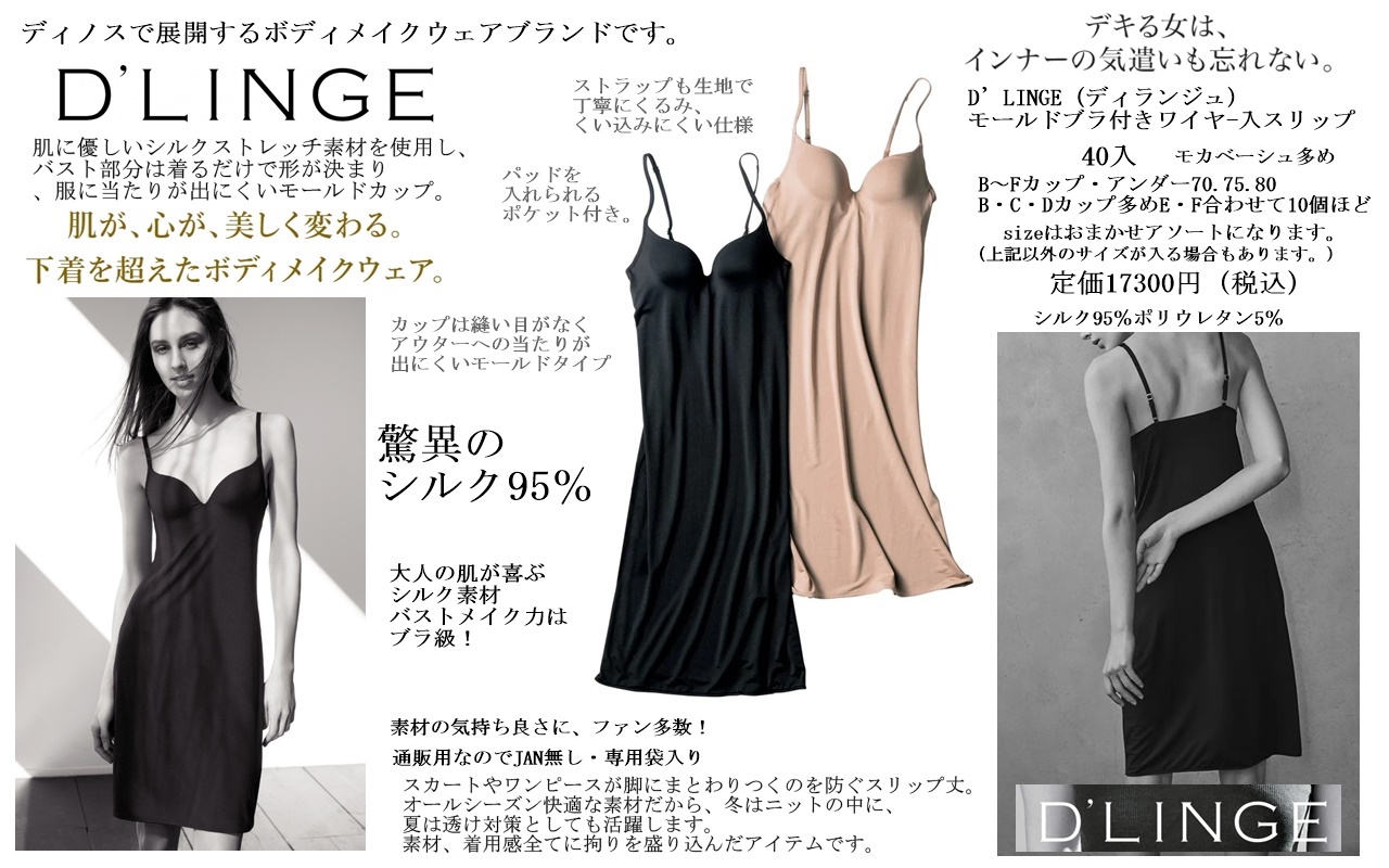 驚異のシルク95％★定価BCD カップ 15,800 円、EF カップ16,800 円通販ディノスがかかげるD’LINGE（ディランジュ）モールドブラ付きワイヤ-入スリップ